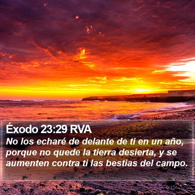 Éxodo 23:29 RVA Bible Verse Image