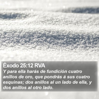 Éxodo 25:12 RVA Bible Verse Image