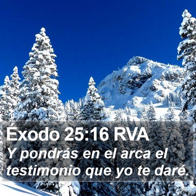 Éxodo 25:16 RVA Bible Verse Image