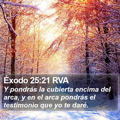 Éxodo 25:21 RVA Bible Verse Image