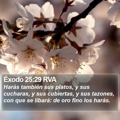 Éxodo 25:29 RVA Bible Verse Image