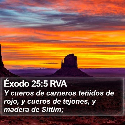 Éxodo 25:5 RVA Bible Verse Image