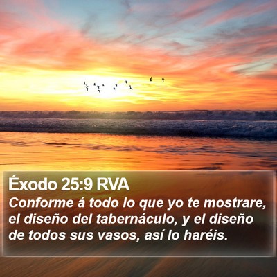 Éxodo 25:9 RVA Bible Verse Image