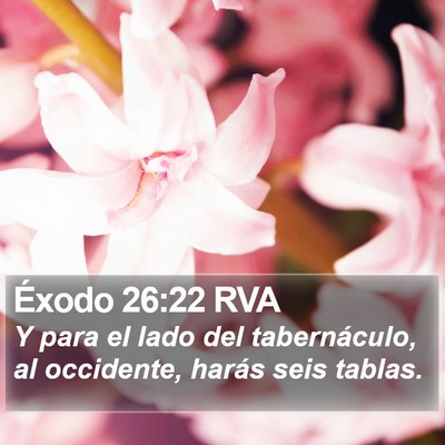 Éxodo 26:22 RVA Bible Verse Image