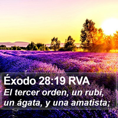 Éxodo 28:19 RVA Bible Verse Image