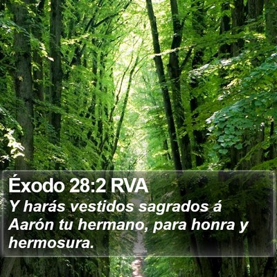 Éxodo 28:2 RVA Bible Verse Image