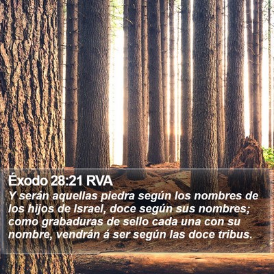 Éxodo 28:21 RVA Bible Verse Image