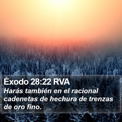 Éxodo 28:22 RVA Bible Verse Image