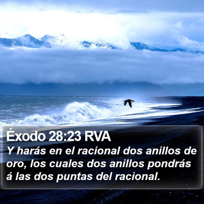 Éxodo 28:23 RVA Bible Verse Image