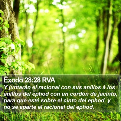 Éxodo 28:28 RVA Bible Verse Image
