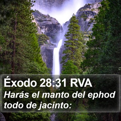 Éxodo 28:31 RVA Bible Verse Image