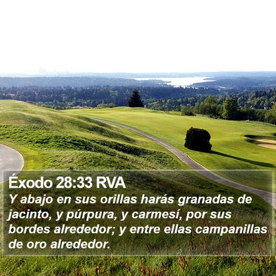 Éxodo 28:33 RVA Bible Verse Image