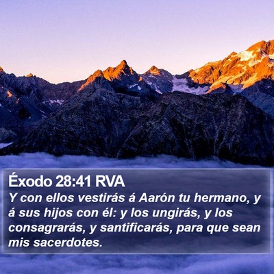 Éxodo 28:41 RVA Bible Verse Image
