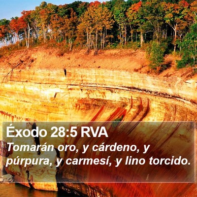 Éxodo 28:5 RVA Bible Verse Image