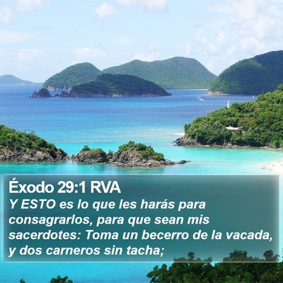 Éxodo 29:1 RVA Bible Verse Image