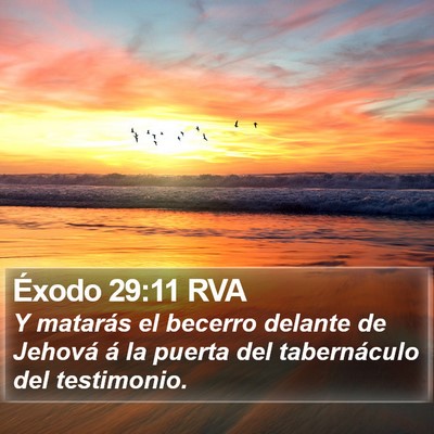 Éxodo 29:11 RVA Bible Verse Image