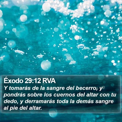 Éxodo 29:12 RVA Bible Verse Image
