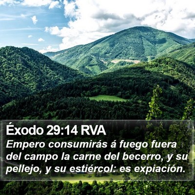 Éxodo 29:14 RVA Bible Verse Image