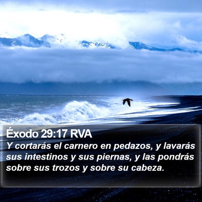 Éxodo 29:17 RVA Bible Verse Image
