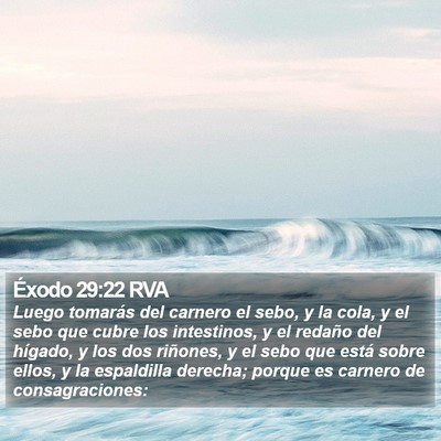 Éxodo 29:22 RVA Bible Verse Image