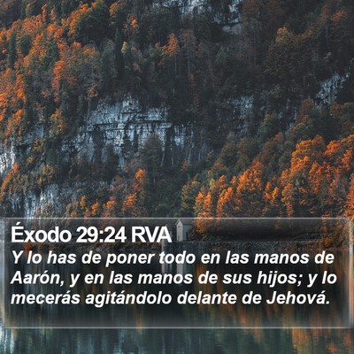 Éxodo 29:24 RVA Bible Verse Image