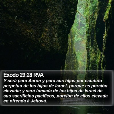 Éxodo 29:28 RVA Bible Verse Image