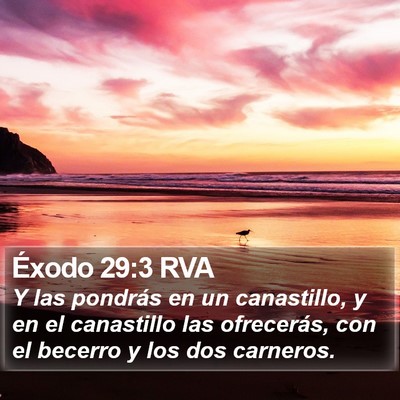 Éxodo 29:3 RVA Bible Verse Image