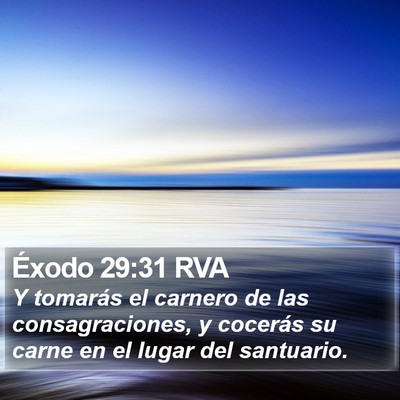 Éxodo 29:31 RVA Bible Verse Image