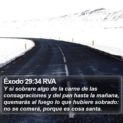 Éxodo 29:34 RVA Bible Verse Image
