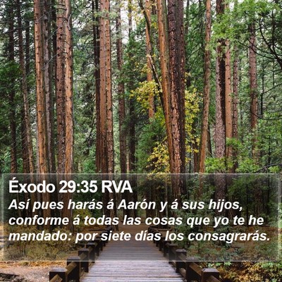 Éxodo 29:35 RVA Bible Verse Image