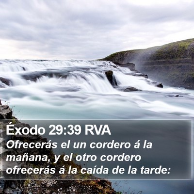 Éxodo 29:39 RVA Bible Verse Image