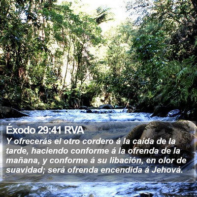Éxodo 29:41 RVA Bible Verse Image