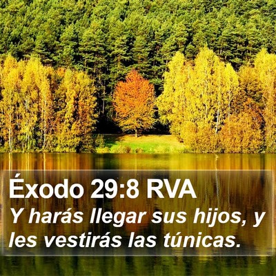 Éxodo 29:8 RVA Bible Verse Image