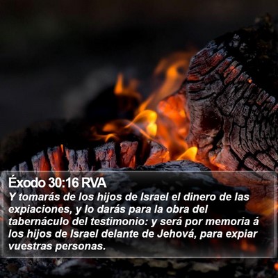 Éxodo 30:16 RVA Bible Verse Image