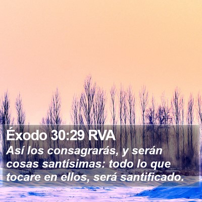 Éxodo 30:29 RVA Bible Verse Image
