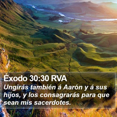 Éxodo 30:30 RVA Bible Verse Image