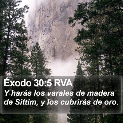 Éxodo 30:5 RVA Bible Verse Image