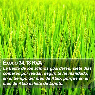 Éxodo 34:18 RVA Bible Verse Image