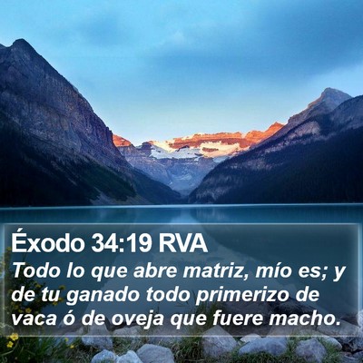 Éxodo 34:19 RVA Bible Verse Image