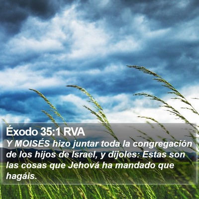 Éxodo 35:1 RVA Bible Verse Image