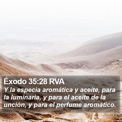 Éxodo 35:28 RVA Bible Verse Image
