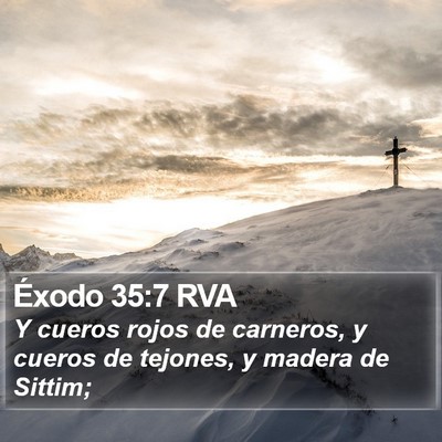 Éxodo 35:7 RVA Bible Verse Image
