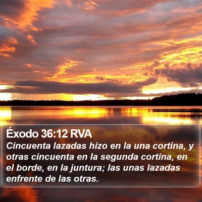 Éxodo 36:12 RVA Bible Verse Image