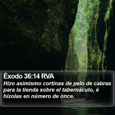 Éxodo 36:14 RVA Bible Verse Image