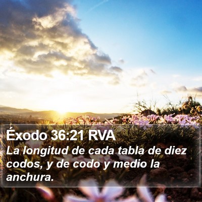 Éxodo 36:21 RVA Bible Verse Image