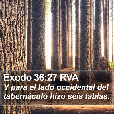 Éxodo 36:27 RVA Bible Verse Image