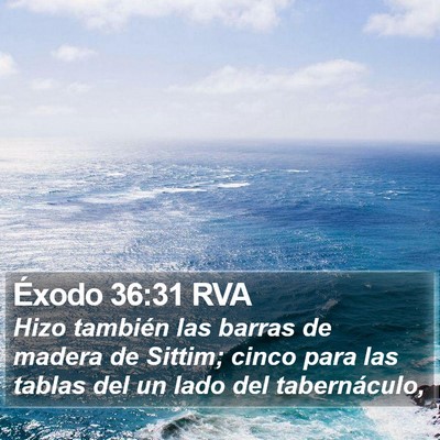 Éxodo 36:31 RVA Bible Verse Image