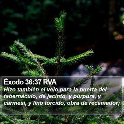 Éxodo 36:37 RVA Bible Verse Image
