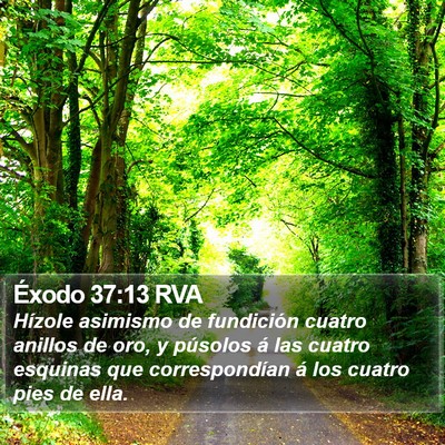 Éxodo 37:13 RVA Bible Verse Image