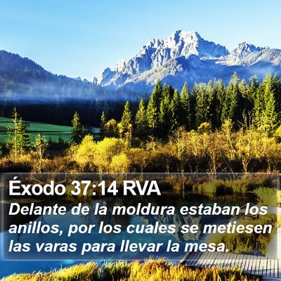 Éxodo 37:14 RVA Bible Verse Image